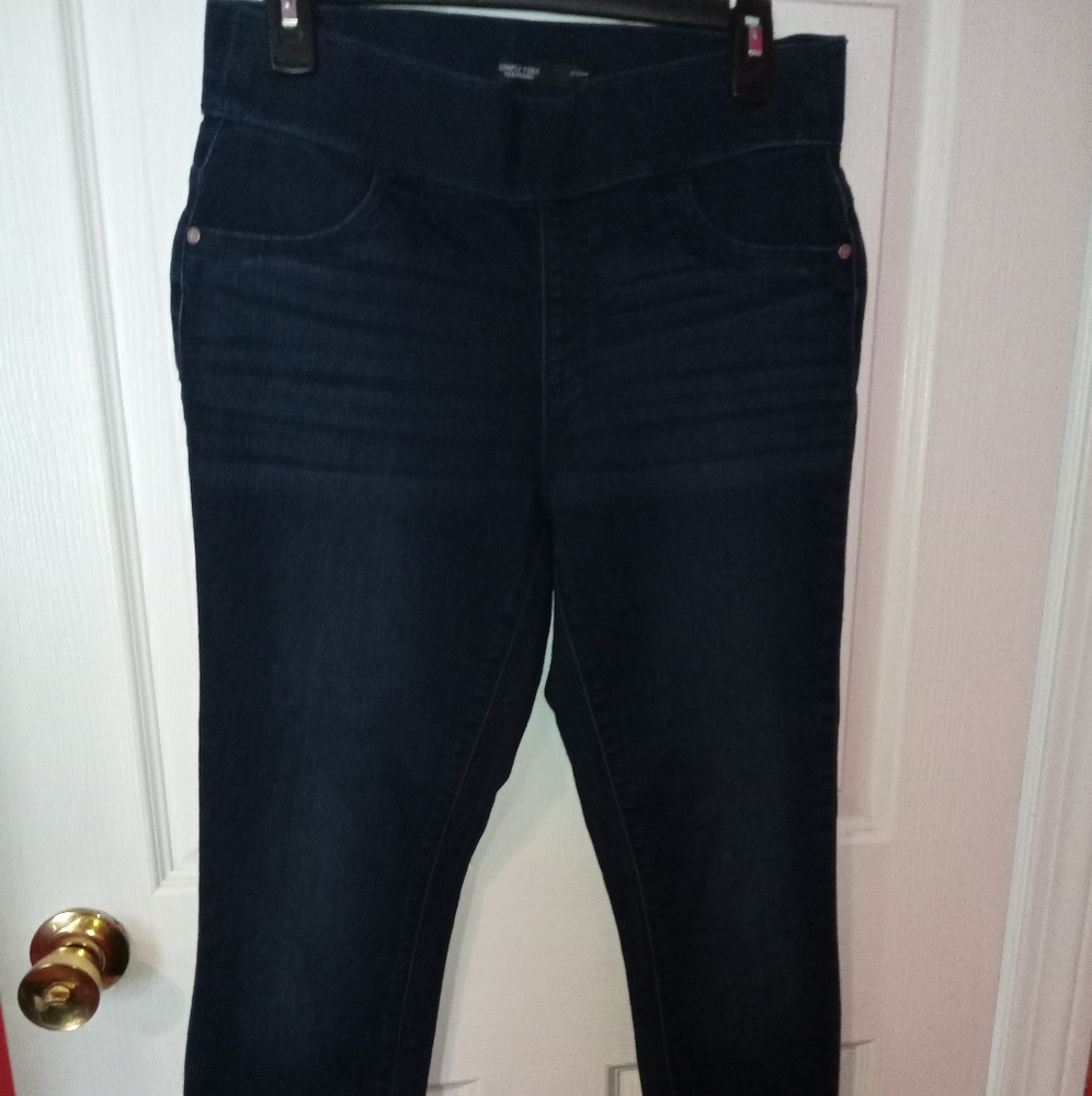 Simply Vera Verawang blue Jeggings size 8